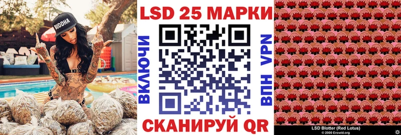 Марки N-bome 1,8мг где купить Бикин