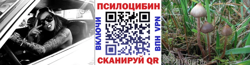 Галлюциногенные грибы MAGIC MUSHROOMS  Бикин 