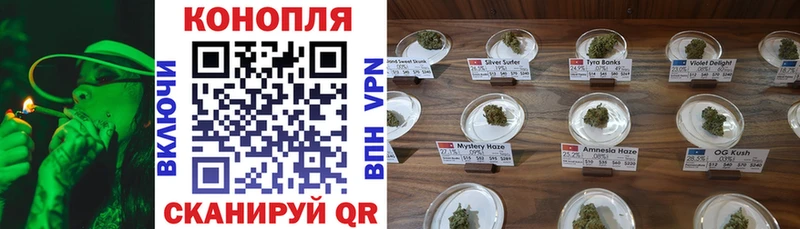 Бошки Шишки план  shop Telegram  Бикин  MEGA tor 